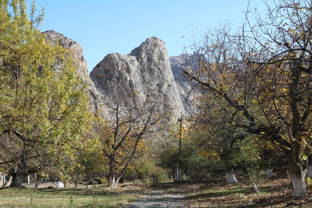 Hotel Sayyod Yurt Camp - Mountain Escape Chuprak Esterno foto